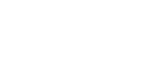 ZBC Næstved logo